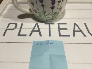 Photo 11.11.15 8 47 56